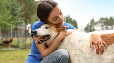 L’ACACED chien, à quoi sert cette attestation et comment l’obtenir ?